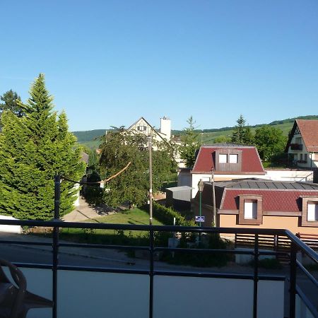 Le Parc Du Marlenberg Appartement Marlenheim Buitenkant foto